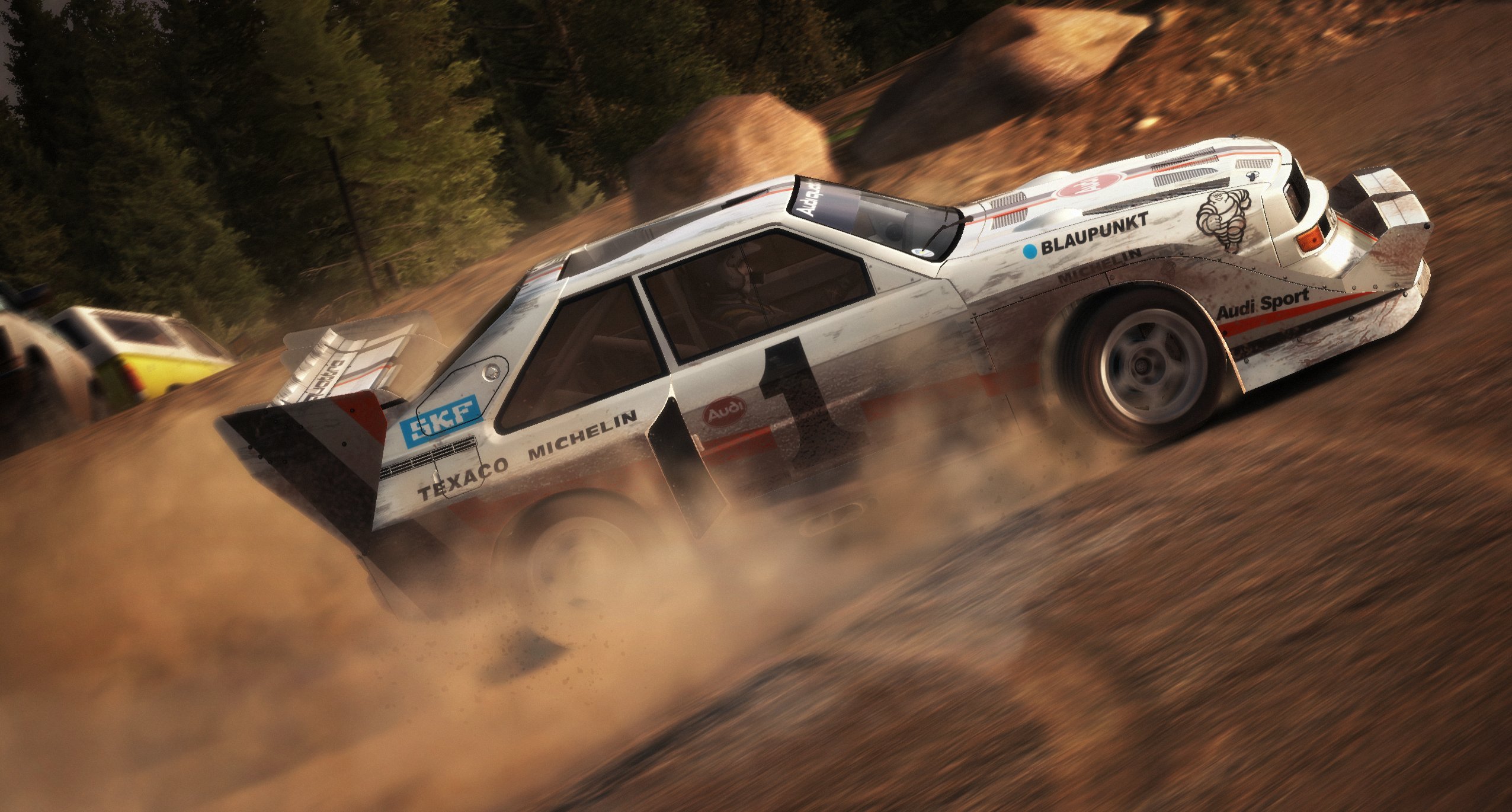 DiRT Rally - Imagen 38